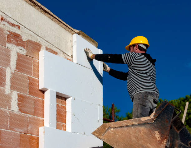Best Insulation Repair Services  in Buffalo, MO