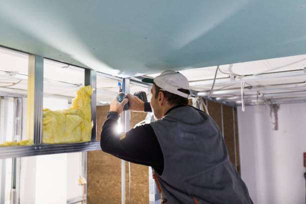 Best Spray Foam Insulation  in Buffalo, MO