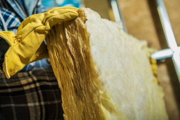 Best Insulation for New Construction  in Buffalo, MO