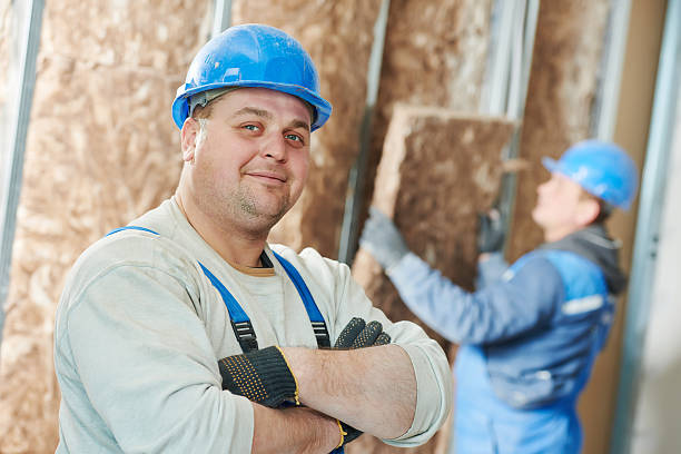 Best Home Insulation Services  in Buffalo, MO