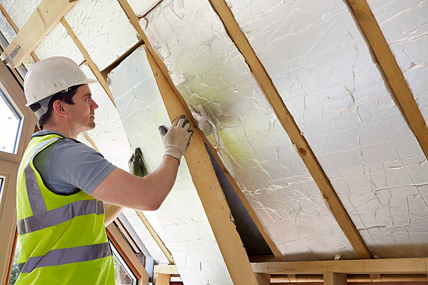 Best Local Insulation Services  in Buffalo, MO